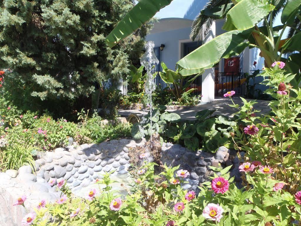 Blue Sky Hotel - Petra - Lesvos - Greece Экстерьер фото